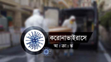 কলারোয়ায় পুলিশ সদস্যের স্ত্রীসহ ৮ জন আক্রান্ত 