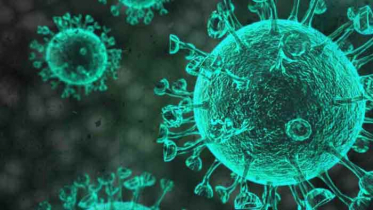 পাবনায় আক্রান্তের সংখ্যা বেড়ে ২০১ পাবনায় আক্রান্তের সংখ্যা বেড়ে ২০১