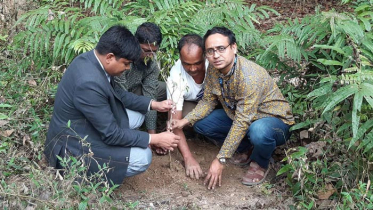 বিশ্ব বন্যপ্রাণী দিবসে লাউয়াছড়া বনে বৃক্ষ রোপন