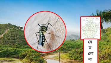 নেত্রকোনায় মেঘালয় থেকে ম্যালেরিয়া নিয়ে ফিরছেন শ্রমিকরা