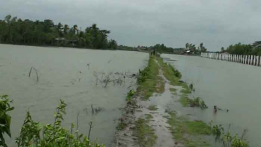 আম্পান: মোংলায় দেড় হাজার চিংড়ি ঘের প্লাবিত  