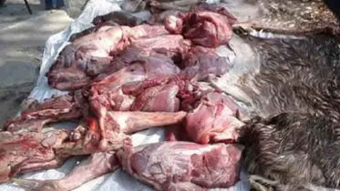 সুন্দরবনে হরিণের মাংসসহ শিকারী আটক