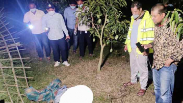 নওগাঁর আমবাগান থেকে আদিবাসীর লাশ উদ্ধার