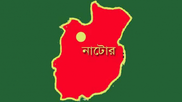 নাটোরে ২৪ গরুসহ ট্রাক ছিনতাই, আহত ৪