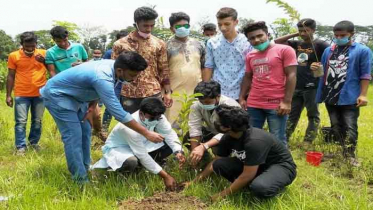 বাগাতিপাড়ায় ছাত্রলীগের বৃক্ষরোপন