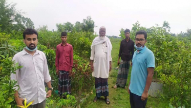 শখের নার্সারিতেই ব্যাপক সফলতা