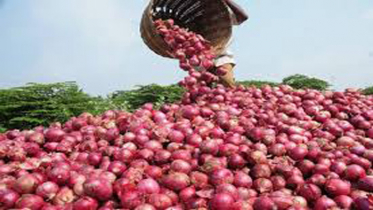 কেজিতে ২০ টাকা কমলো পেঁয়াজের দাম