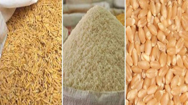 ১৯ লাখ মেট্রিক টন ধান চাল ও গম কিনবে সরকার