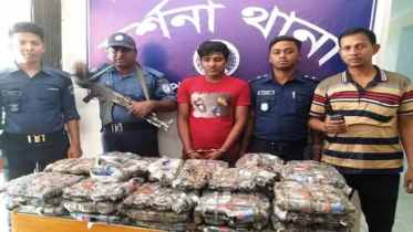 প্রাইভেটকারে ফেনসিডিল পাচার, যুবক গ্রেফতার