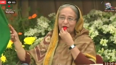 বিভিন্ন রুটে ট্রেন চলাচলের উদ্বোধন করলেন প্রধানমন্ত্রী