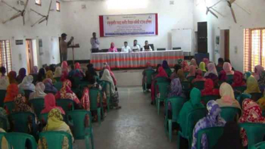 হিলিতে গর্ভবতী মায়েদের প্রশিক্ষণ কর্মশালা 