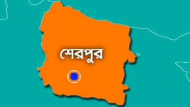 শেরপুরে ট্রাকচাপায় দুই স্কুলছাত্র নিহত