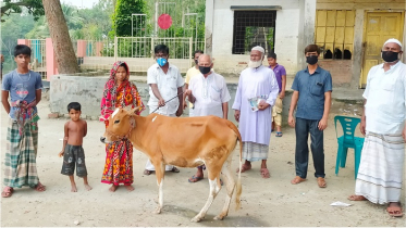 এনায়েতপুরে অসহায় বিধবাকে গরু প্রদান