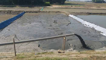 সরাইলে ভূমিহীনের ঘরবাড়ী দখল 