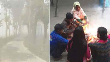 ঠাকুরগাঁওয়ে তীব্র শীতে জনজীবন বিপর্যস্ত