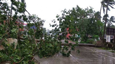 যশোরের চৌগাছায় গাছচাপা পড়ে মা-মেয়ে নিহত