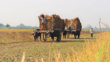 দিনের তাপমাত্রা অপরিবর্তিত থাকবে