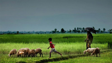 সারাদেশে দিনের তাপমাত্রা অপরিবর্তিত থাকবে