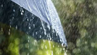 গুঁড়ি গুঁড়ি বৃষ্টির সম্ভাবনা 