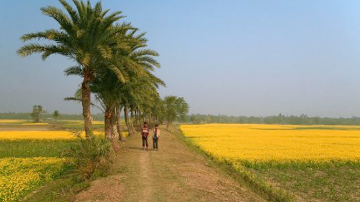 দিনের তাপমাত্রা হ্রাস পেতে পারে- সংগৃহীত