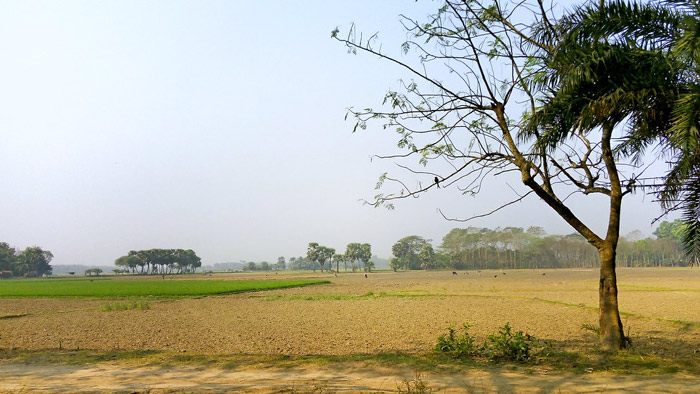 অস্থায়ীভাবে আংশিক মেঘলা আকাশসহ সারাদেশের আবহাওয়া শুষ্ক থাকতে পারে- সংগৃহীত