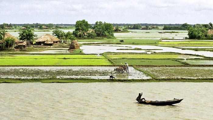 কোন কোন স্থানে বৃষ্টির সম্ভাবনাও রয়েছে- সংগৃহীত কোন কোন স্থানে বৃষ্টির সম্ভাবনাও রয়েছে- সংগৃহীত