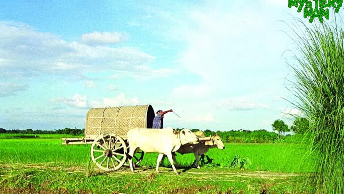 অস্থায়ীভাবে দমকা হাওয়াসহ বৃষ্টি অথবা বজ্রসহ বৃষ্টি হতে পারে- সংগৃহীত