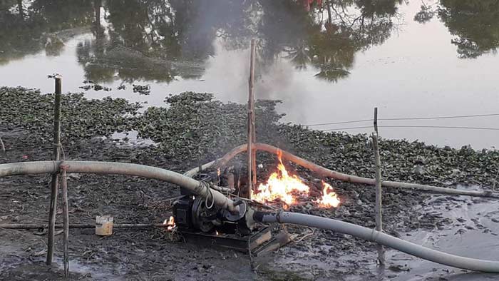 ফেনীতে ভ্রাম্যমান আদালতের অভিযান: এক লাখ টাকা জরিমানা