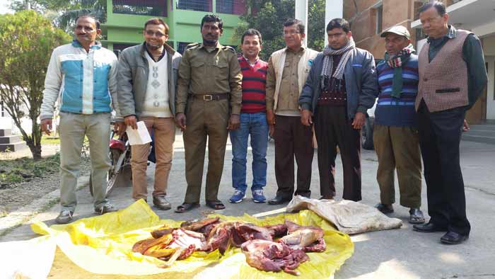 সুন্দরবন থেকে হরিণের মাংস জব্দ