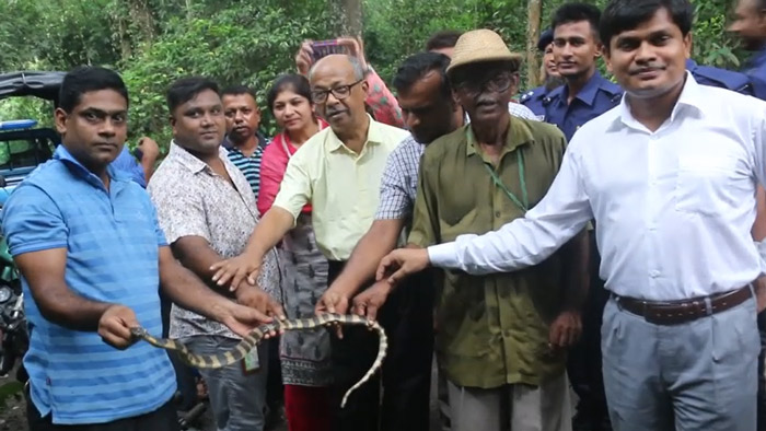 লাউয়াছড়ায় বিরল প্রজাতির সাপ ও বন্যপ্রাণী অবমুক্ত (ভিডিও)