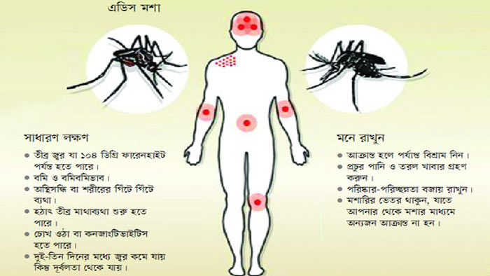 ডেঙ্গু জ্বরের লক্ষণ ও প্রতিকার