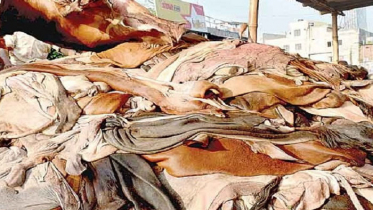 প্রত্যাহার হতে পারে কাঁচা চামড়া রপ্তানির আদেশ 