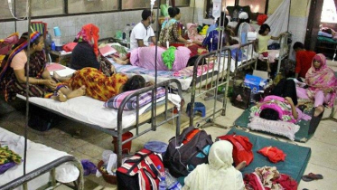 ৬১ জেলায় হাসপাতালে ভর্তি ১৩৩৫ ডেঙ্গু রোগী