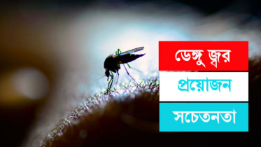 ডেঙ্গুর মহামারি থেকে বাঁচতে চাই সবার সচেতনতা