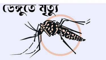 ডেঙ্গুতে আরও তিনজনের মৃত্যু 