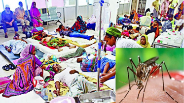 বাংলাদেশে যেভাবে এলো ডেঙ্গু  