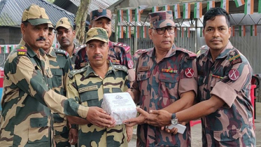 ভারতের স্বাধীনতা দিবসে বিএসএফকে মিষ্টি উপহার দিল বিজিবি