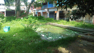 রাজশাহী নিউমার্কেটের ভিতরে ঝোপঝাড়