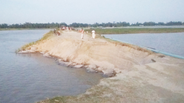 আজগড়া স্পার বাঁধের ৫০ মিটার ধস, আতঙ্কে এলাকাবাসী