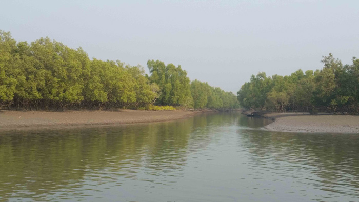 সুন্দরবনের খালে জুলাই-আগস্টে মাছ আহরণ বন্ধ