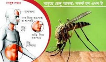 ডেঙ্গু আতঙ্কে দেশ