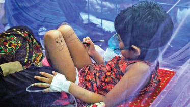 ডেঙ্গু জ্বর : ঈদে সারা দেশে স্বাস্থ্য ঝুঁকির আশঙ্কা কতটা