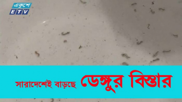 সারাদেশেই বাড়ছে ডেঙ্গুর বিস্তার (ভিডিও)