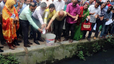 ডেঙ্গু রোধে ময়মনসিংহে ছাড়া হচ্ছে ১ লাখ ‘মশাভুক মাছ’ 