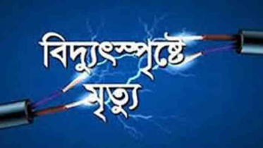 নড়াইলে বিদ্যুৎপৃষ্টে শ্রমিকের মৃত্যু, আহত ১