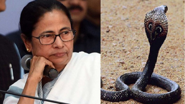 সাপ আতঙ্কে মমতা!