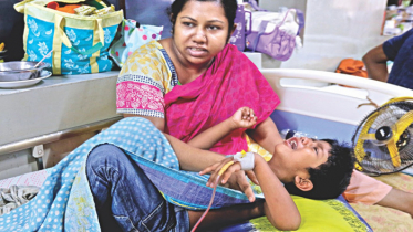 ঈদের পরে আবারও বেড়েছে ডেঙ্গু রোগীর সংখ্যা