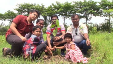 বঙ্গবন্ধুর জন্মশতবর্ষ, সাফারি পার্কে ১০০ বৃক্ষরোপণ