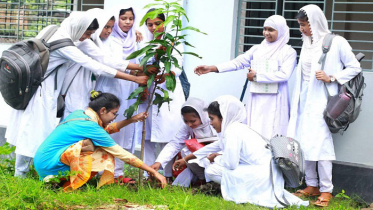 কবি নজরুলে বৃক্ষরোপণ কর্মসূচি