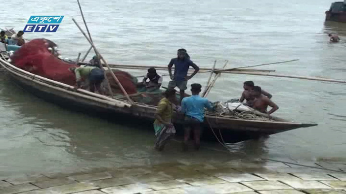 চাঁদপুরে নেই ইলিশের ঝাঁক (ভিডিও)